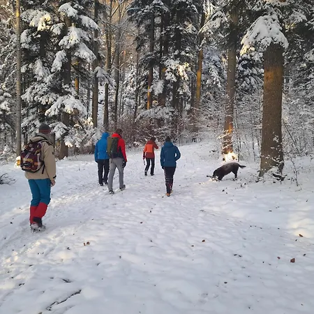 Zum Postwirt Han/Misafirhane *