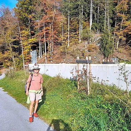 Zum Postwirt Locanda Predlitz