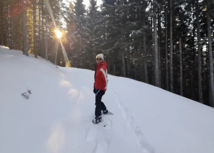 Han/Misafirhane Zum Postwirt