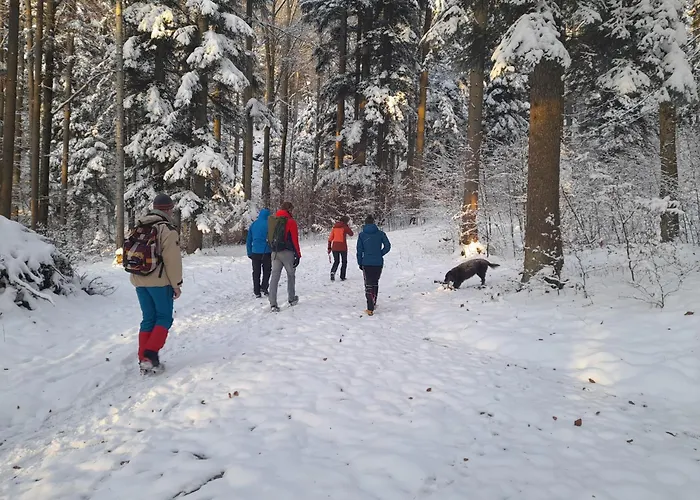 Zum Postwirt Han/Misafirhane *